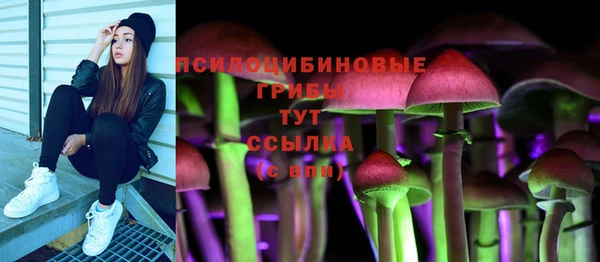 тгк Шали