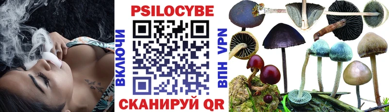 купить  сайты  Северск  Галлюциногенные грибы Psilocybe 