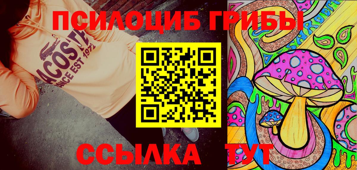 Галлюциногенные грибы GOLDEN TEACHER  Галлюциногенные грибы прущие грибы  Северск  Вход с VPN 