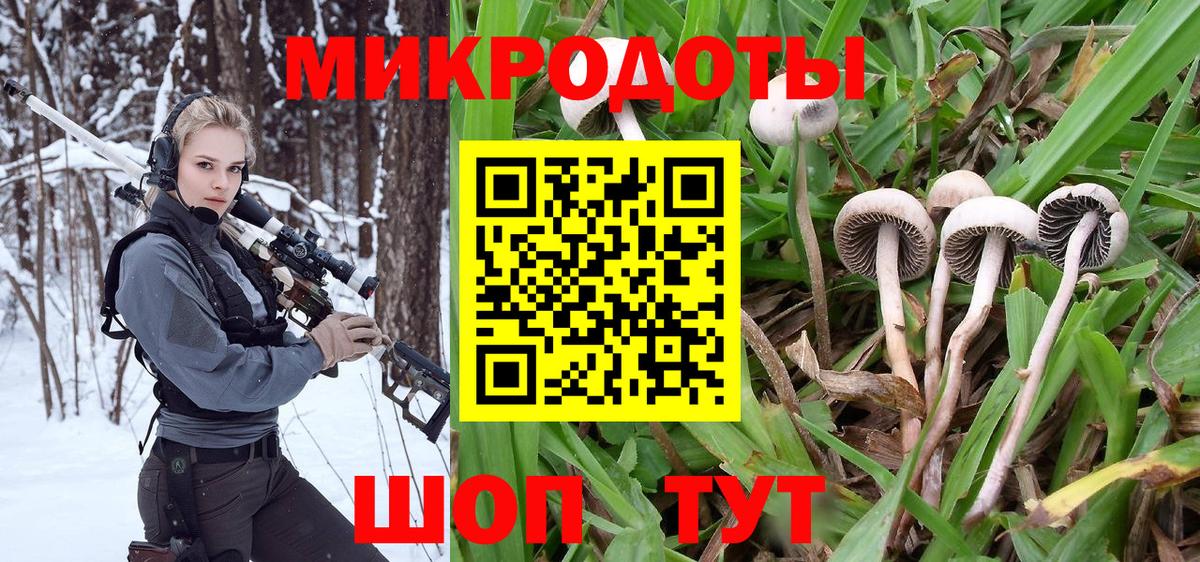 Галлюциногенные грибы Cubensis Северск